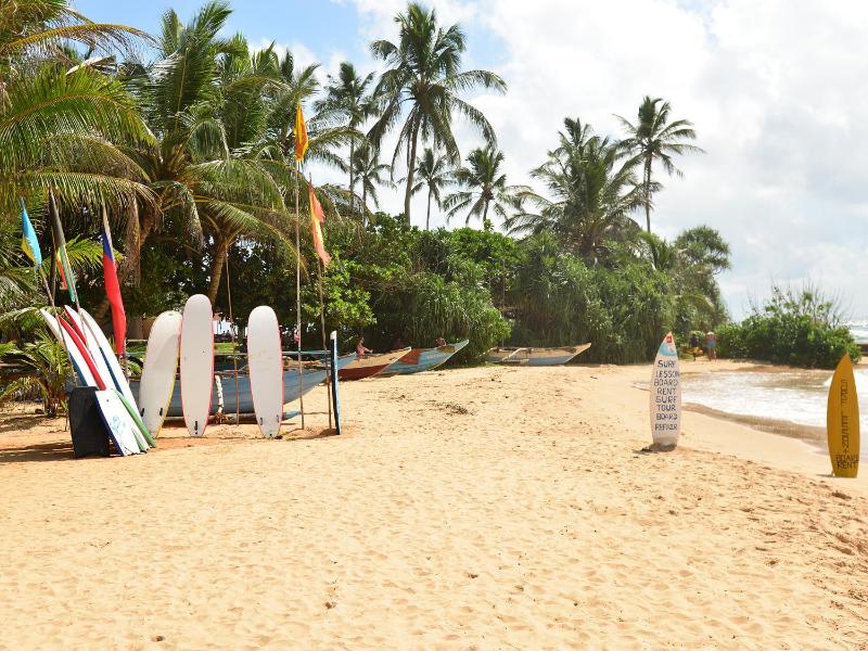 Hotel Happy Tuna - image 5