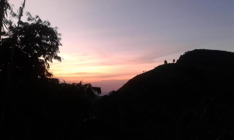 Dimuthu Homestay Ella - image 6