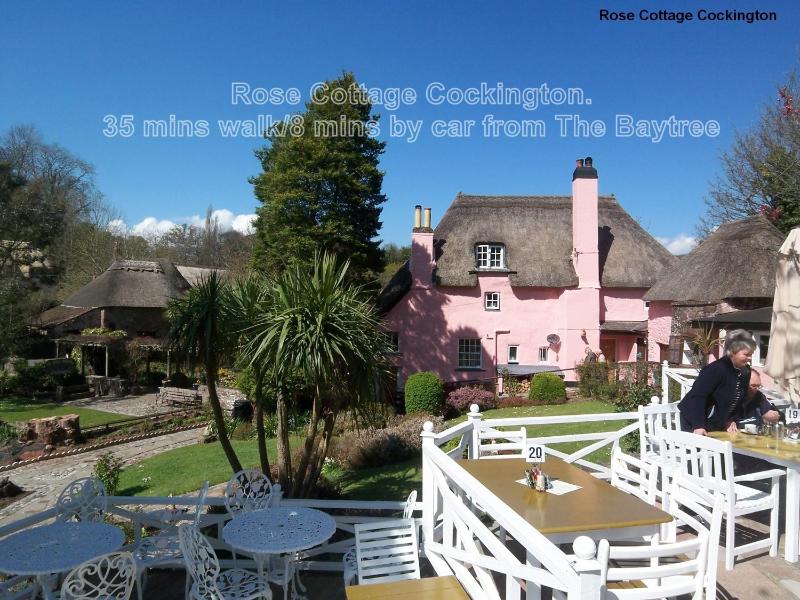 The Baytree - Exclusively for Adults - image 2
