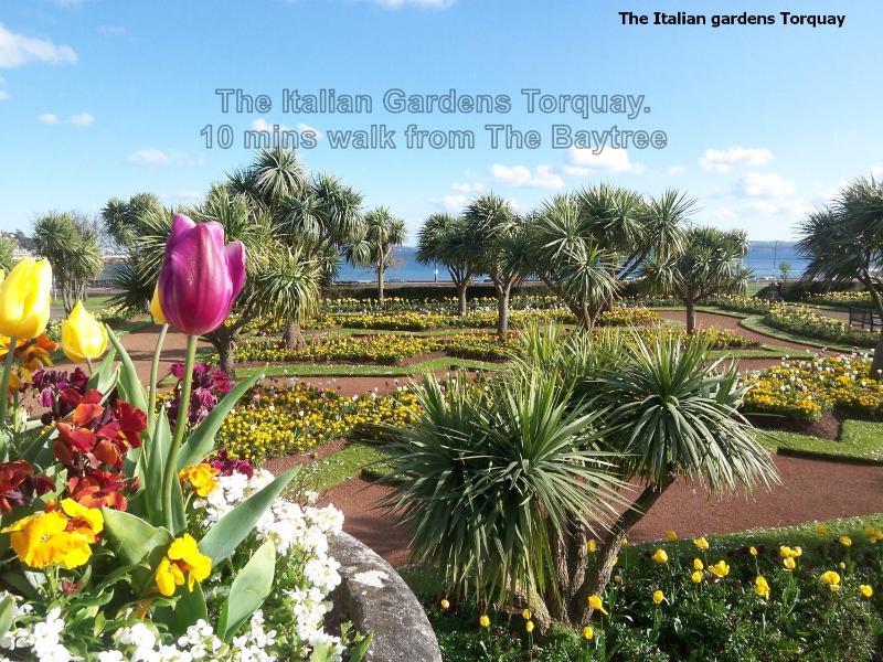 The Baytree - Exclusively for Adults - image 45