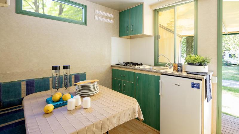 Mobile Home Standard image 3