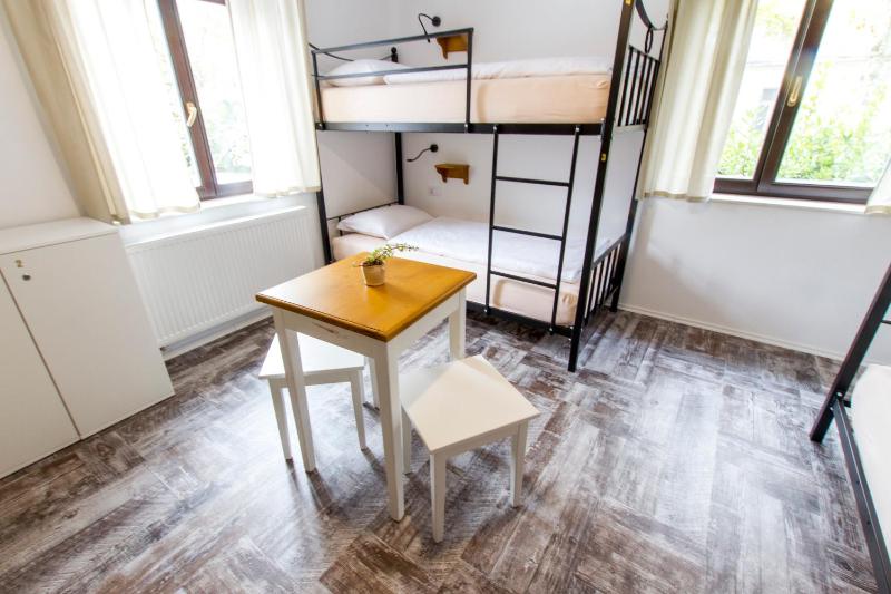Bunk Bed in Mixed Dormitory Room with Shared Bathroom image 3