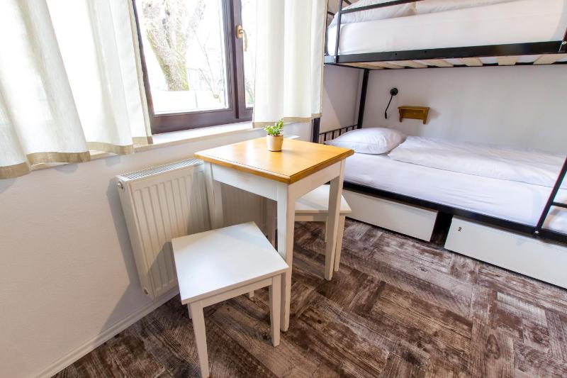Bunk Bed in Mixed Dormitory Room with Shared Bathroom image 3