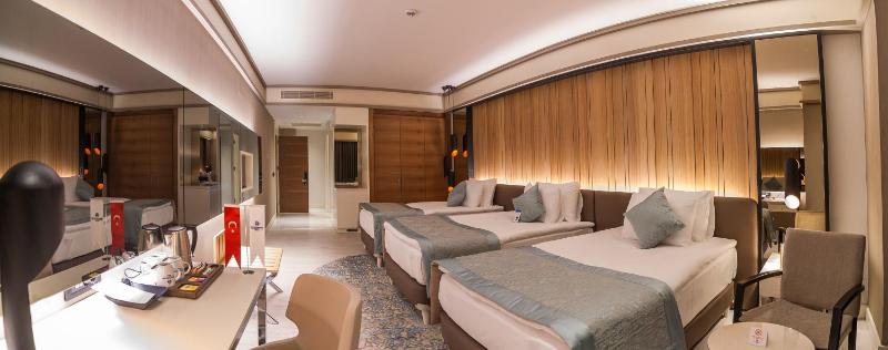 Standard Triple Room image 4