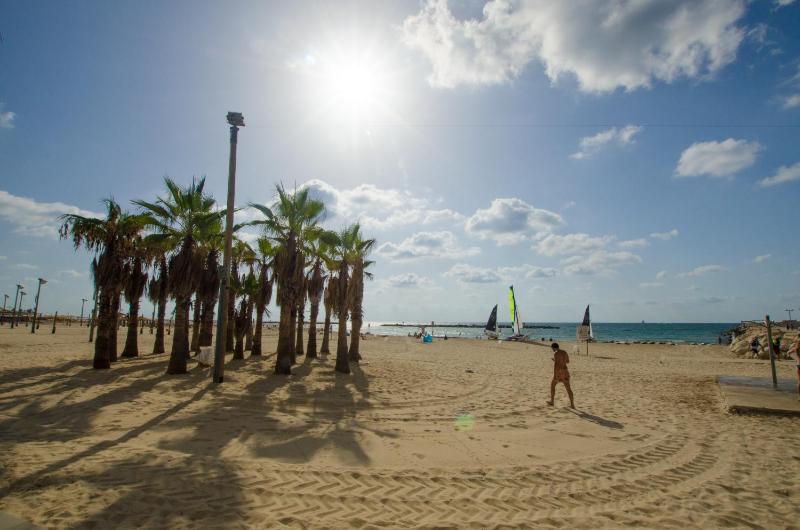 Seaside Hotel by Zvieli Hotels - image 6