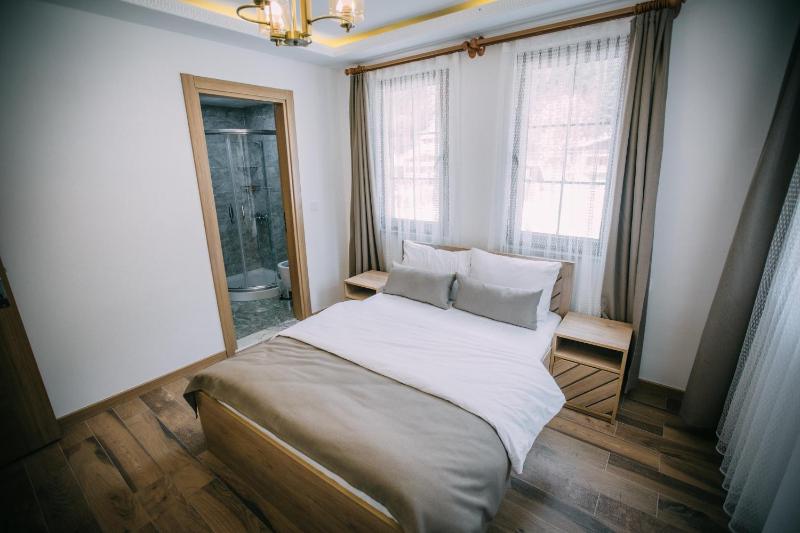 One-Bedroom Suite with Mountain View and Balcony  image 3