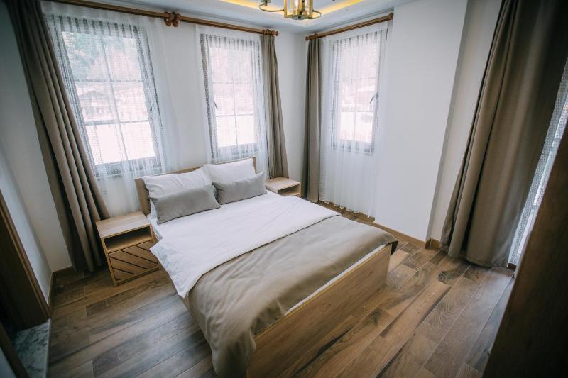 One-Bedroom Suite with Mountain View and Balcony  image 4