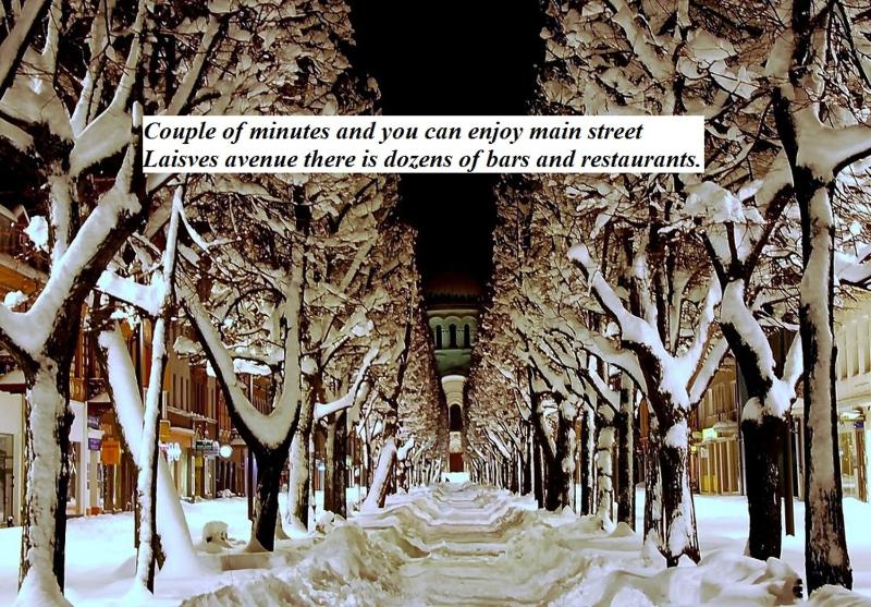 Deluxe Apartment image 2