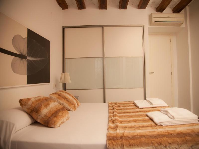 One-Bedroom Apartment with Terrace image 3