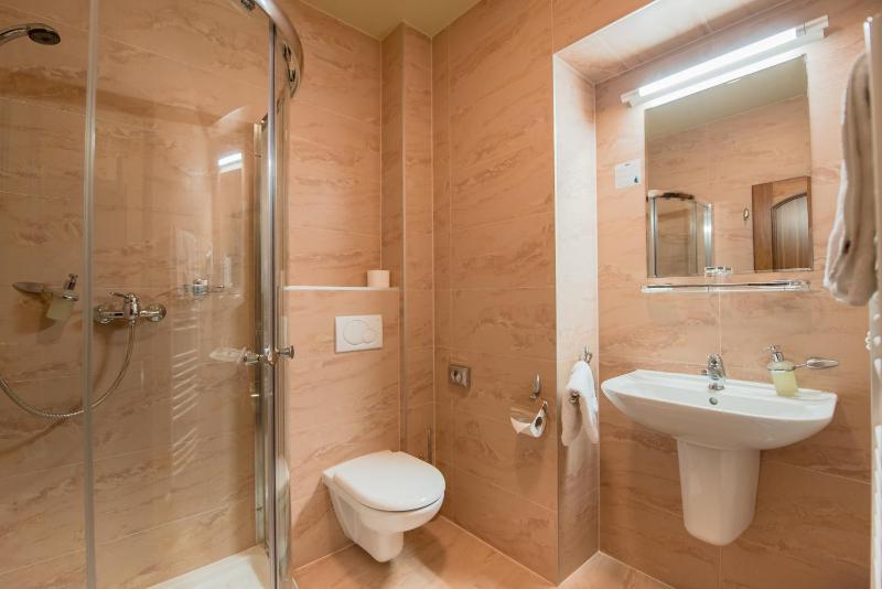 Deluxe Single Room image 2