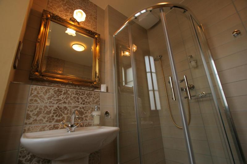 Deluxe Single Room image 3