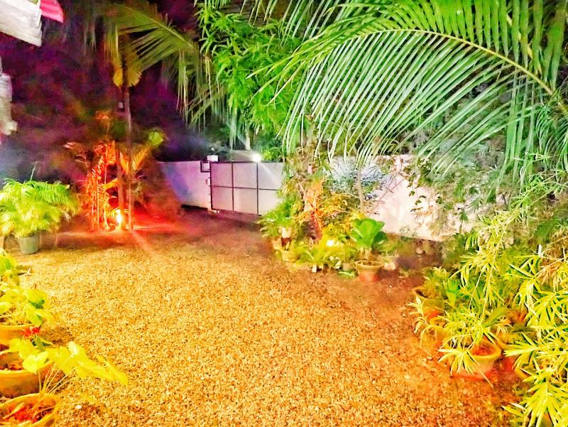 The Bambos - image 33