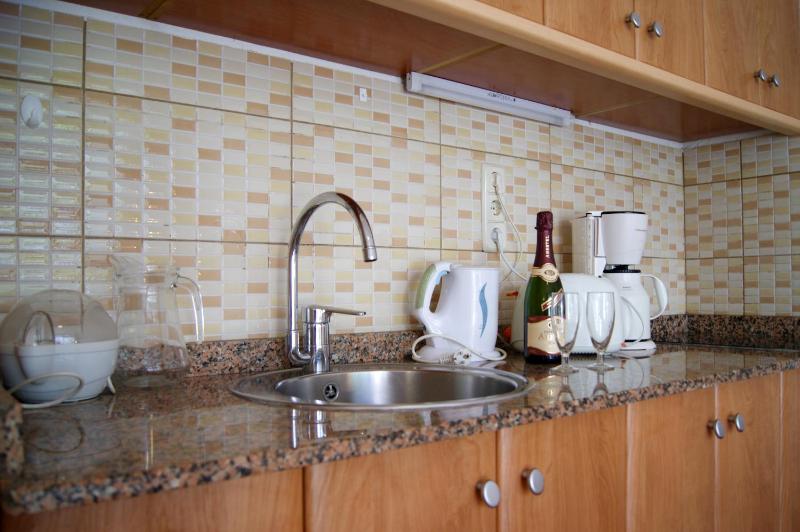 One-Bedroom Apartment image 4