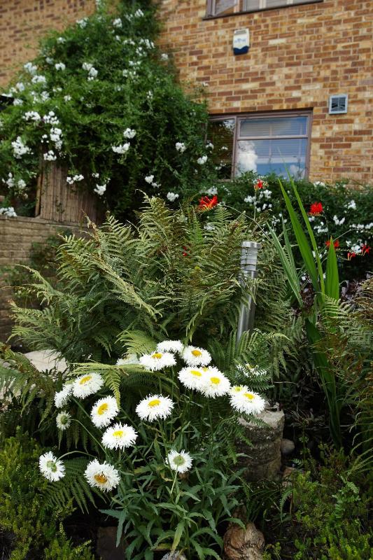 Richmond Lane Guest House - AA Accredited - image 17