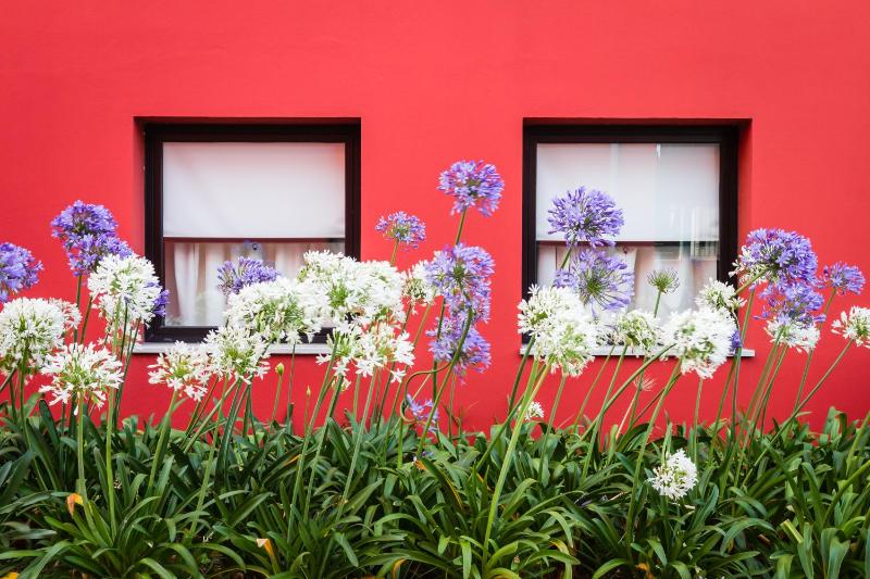 Hotel Ibis Lisboa Sintra - image 8