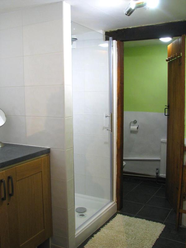 Standard Twin Room image 3