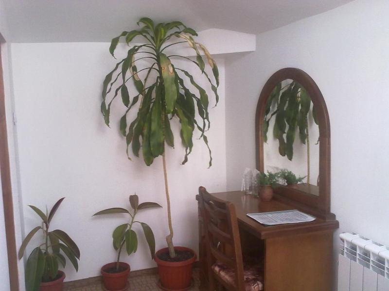 Quadruple Room image 3