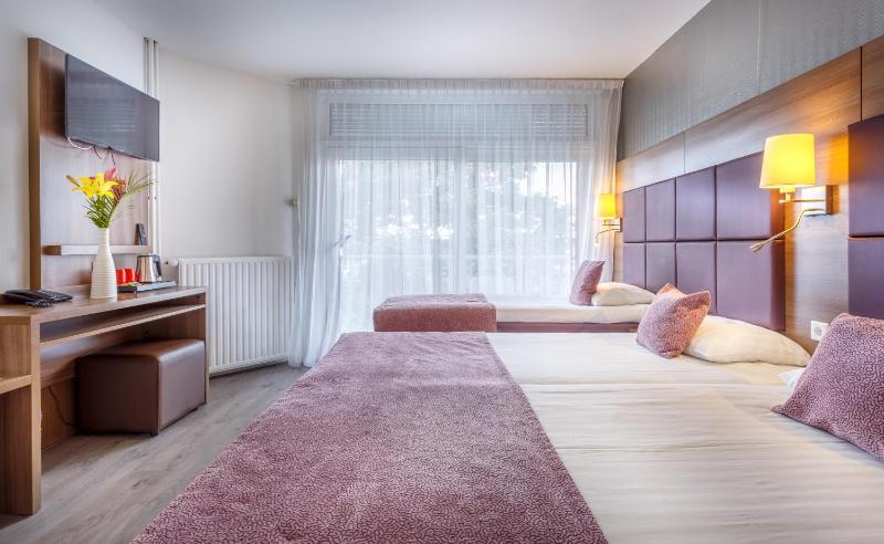 Hotel Victorie - image 13