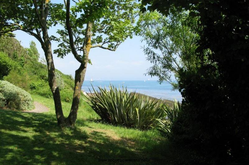 Driftwood B&B Weymouth - image 8