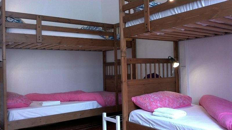 Bunk Bed in Mixed Dormitory Room image 1