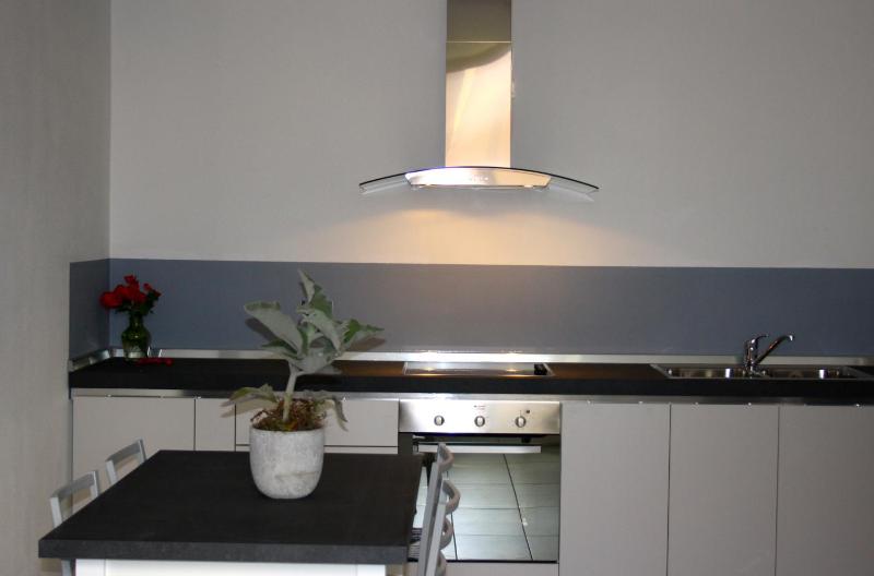 One-Bedroom Apartment image 2