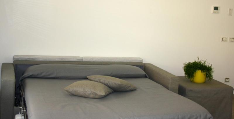 One-Bedroom Apartment image 2