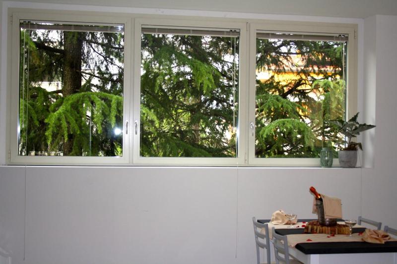 One-Bedroom Apartment image 2