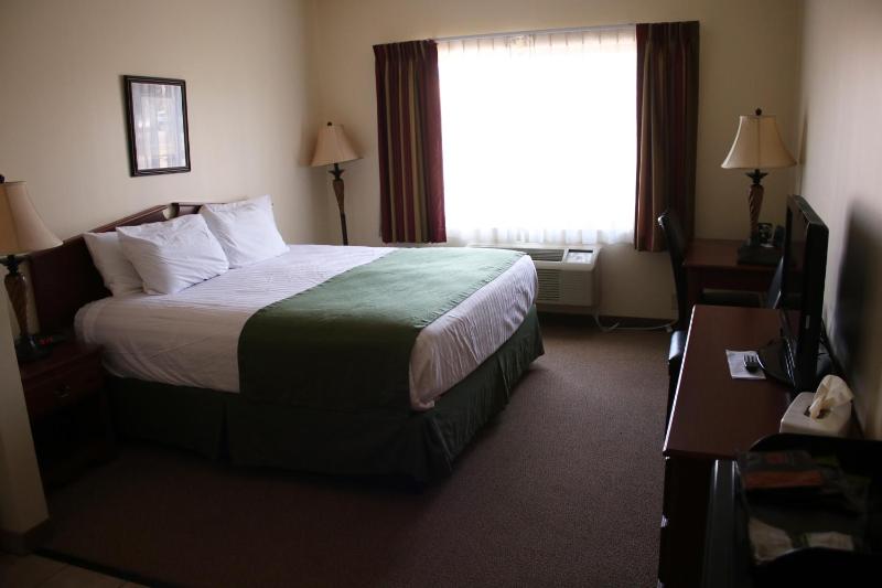 Single Room - Disability Access image 4