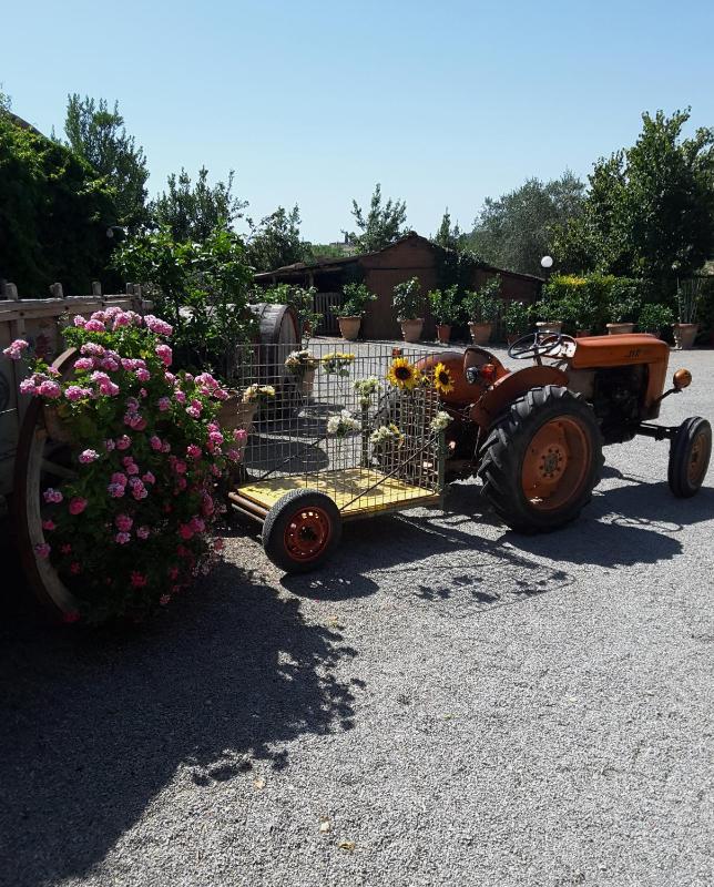 Casale Le Capanne - image 28