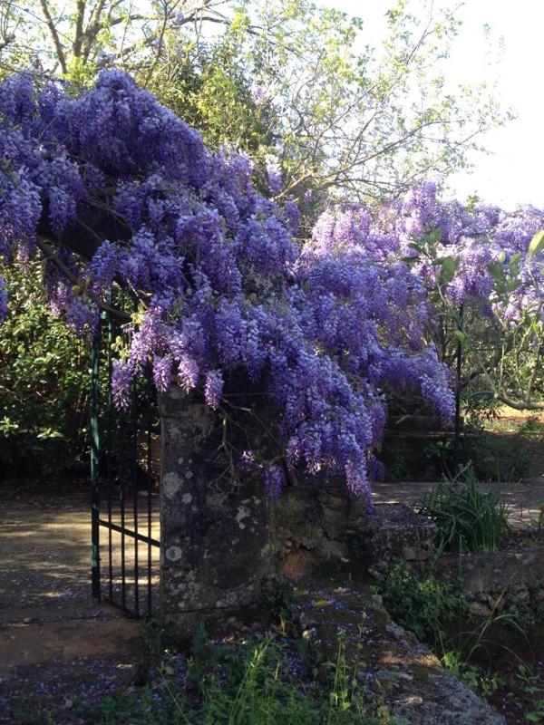 Gentilini Retreat - image 12