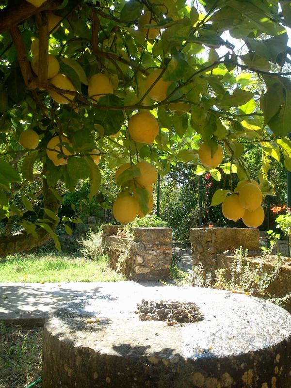Gentilini Retreat - image 7