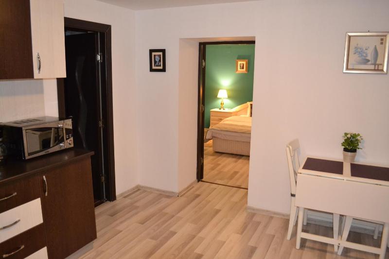 Economy Studio Apartment without view image 4