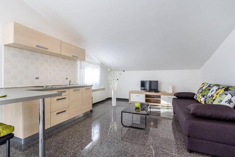 One-Bedroom Apartment image 2
