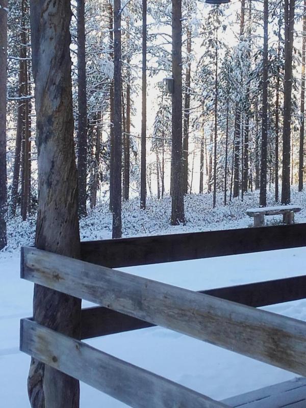 One-Bedroom Cottage image 3