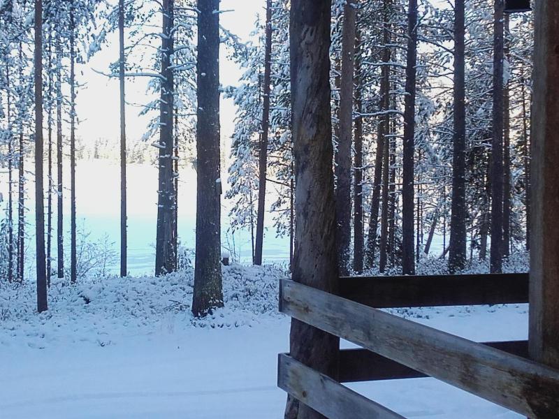 One-Bedroom Cottage image 2