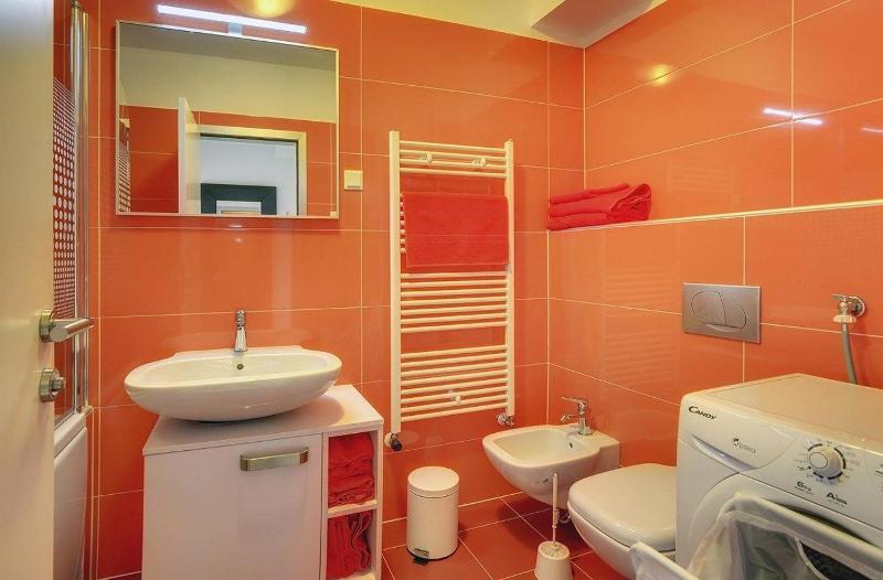 One-Bedroom Apartment image 4