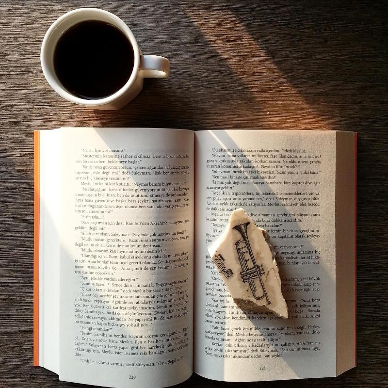 Semi Basement Room image 3