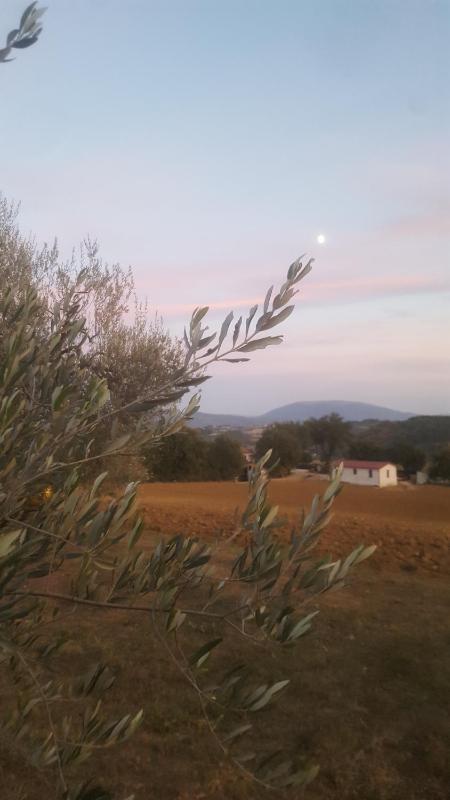 Agriturismo Villalta - image 4
