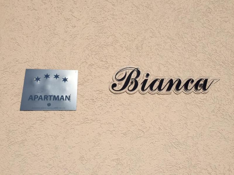 Superior Apartment image 2