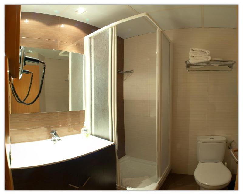 Double or Twin Room image 4