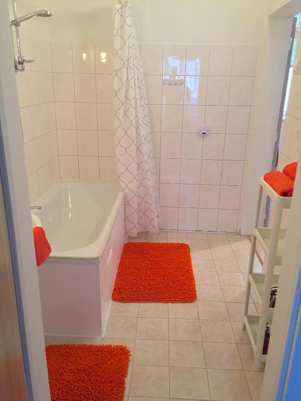 One-Bedroom Apartment image 3