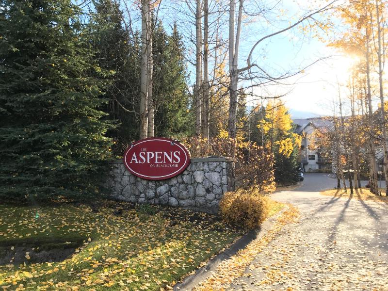 The Best Top Floor Ski-in/Ski-out at the Aspens - image 7