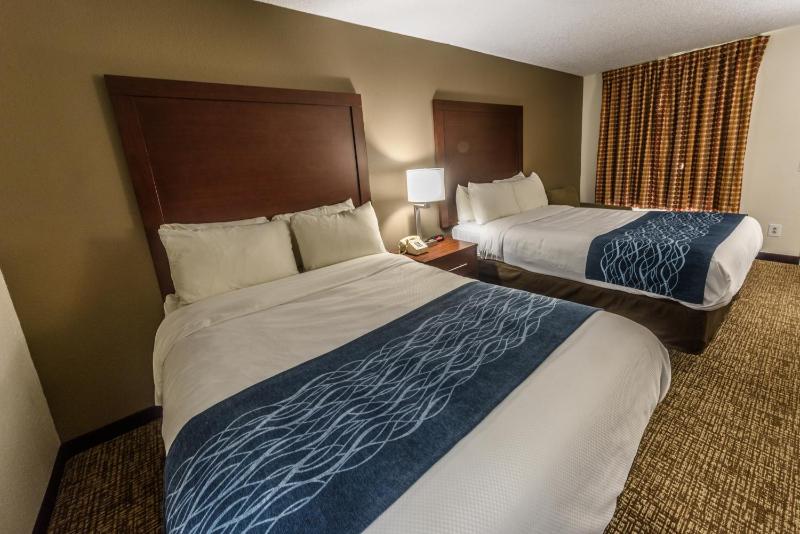 Standard Double or Twin Room image 2