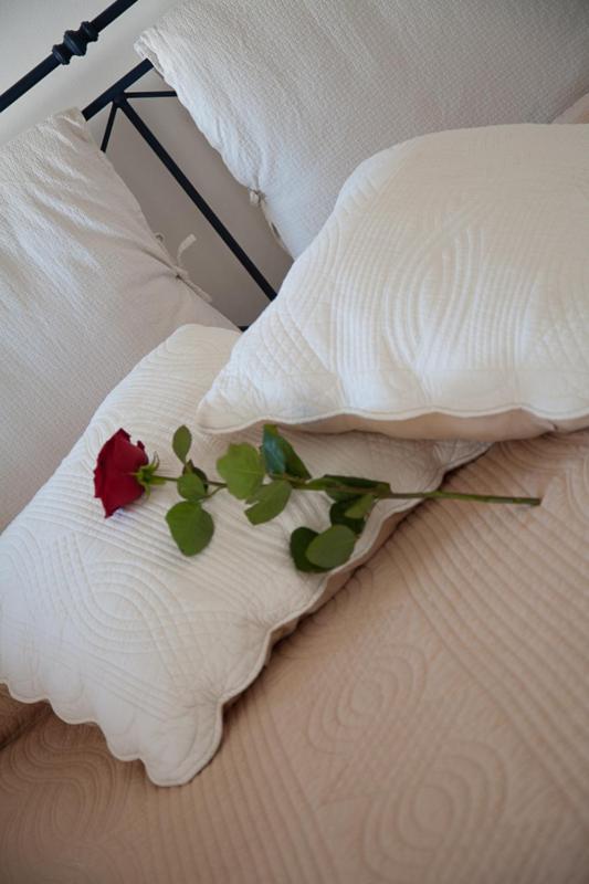 Suite image 4