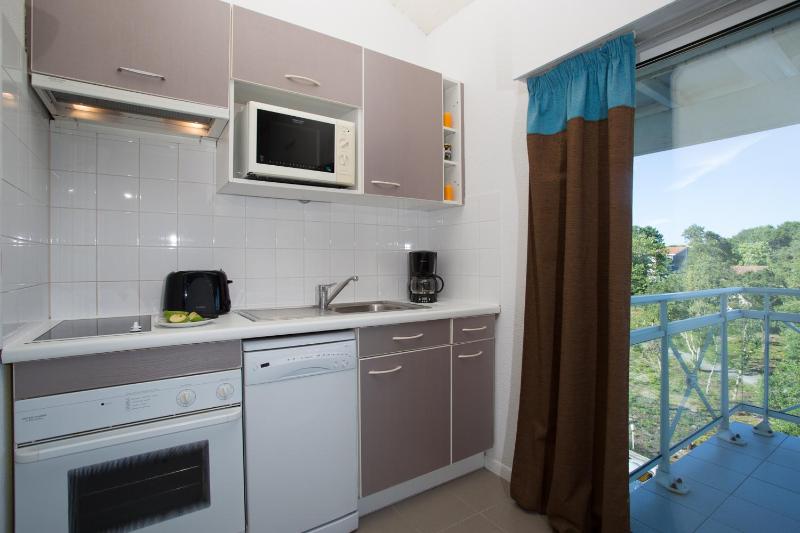 One-Bedroom Apartment image 4