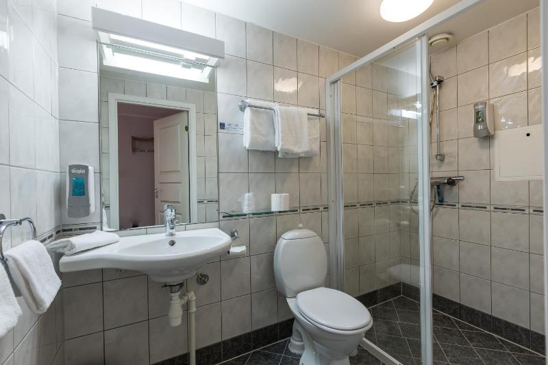 First Hotel Viking - image 16