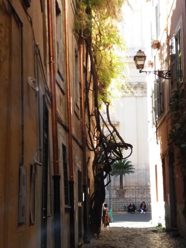 Small Double Room image 3