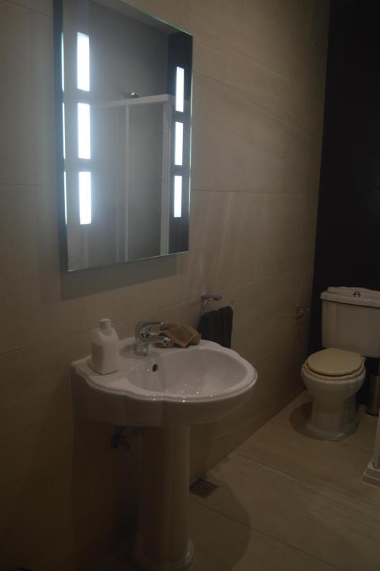 Deluxe Studio Apartment image 4