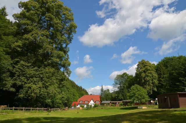Zur Sommerfrische Lothramühle Images