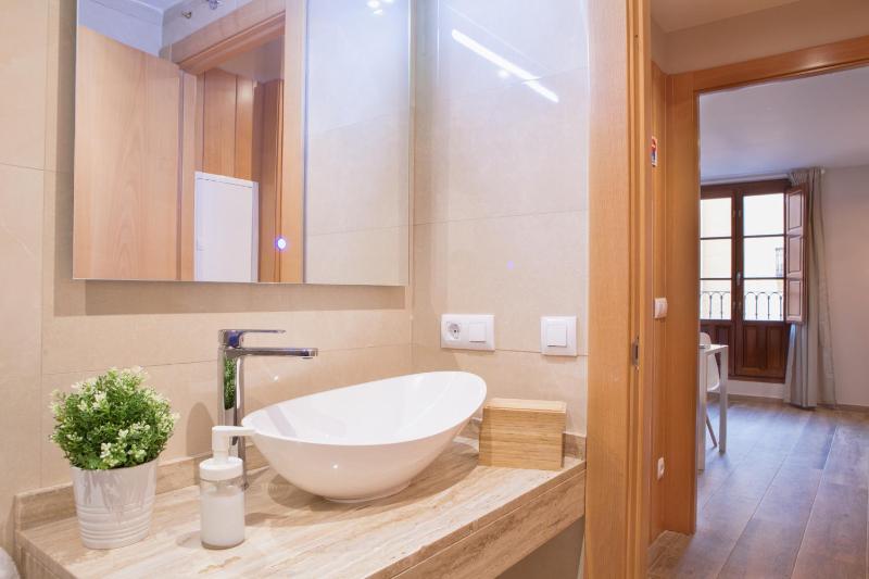 One-Bedroom Apartment image 3